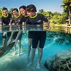 discovery cove tickets1