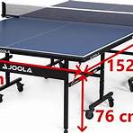 What are the rules of ping pong?2