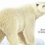 polar bear facts5