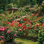 international rose test garden oregon2