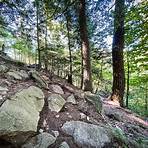 giant mountain trail adirondacks2