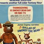 The Ballad of Smokey the Bear film3