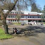 Lycée Clemenceau4