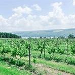 Does Keuka Lake State Park have a winery?3
