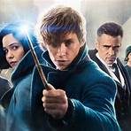 Harry Potter and the Order of the Phoenix filme5