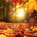 Froher Herbst des Lebens1
