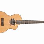 what are the notes for the baritone ukulele instrument2