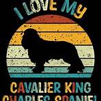 harvard law school logo images black and white cavalier king charles spaniel3