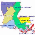 What information can be found in Louisiana maps?3