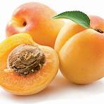 apricot1