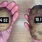 how much does a bag of russet potatoes weigh in ml3