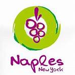 visit naples ny facebook1