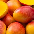 Mangos wikipedia4