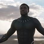 The Black Panther Film2