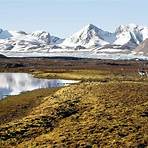 what are people in svalbard called israel2