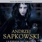 the witcher libro 13