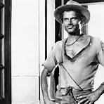 terence hill heute1