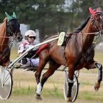 what does harness racing have in common with thoroughbred racing products3