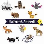 Nocturnal Animals1