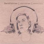 Do You Know Me Now? David Sylvian3