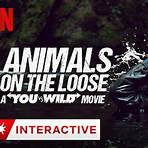 you versus wild película interactiva1