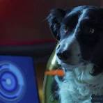 Cats & Dogs 3 – Pfoten vereint! Film3