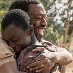 The Boy Who Harnessed the Wind4