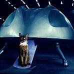 Die Katze aus dem Weltraum3