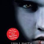 vampire diaries buch4