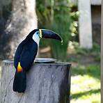 bioparque do rio de janeiro4