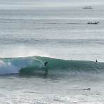 Surf Ninjas1