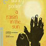 A Raisin in the Sun Film1
