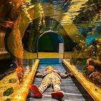 lotte world seoul aquarium hotel and spa3