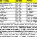 Jamaica High School1