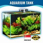 fish tank for sale4