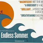 The Endless Summer2