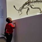 houston museum of natural science free days4