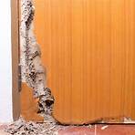 termite damage repair contractors1