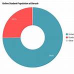 baruch college online courses4