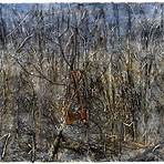 anselm kiefer superstrings runes the norns gordian knot4