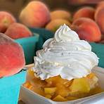 famous peaches in georgia4