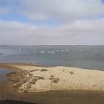 walvis bay flamingo lagoon1