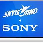 Skybound Entertainment1