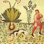 Why was Mandragora important in the Middle Ages?3