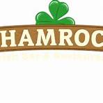 shamrock irish pub3