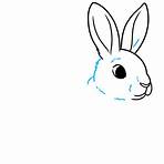 How to Draw a Bunny2
