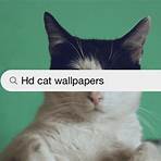 cute cats wallpaper5