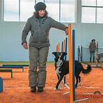 hundepension mit training2