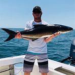 when did adán join the b's v fishing charter 1 banks4