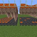 what are some of the things you can do in minecraft 3f java servers to make2